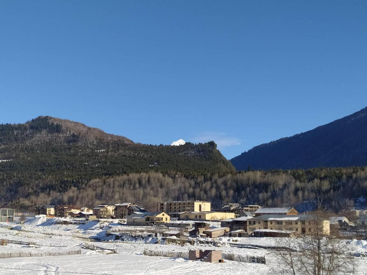 Tetne Qor Guesthouse Mestia Dış mekan fotoğraf